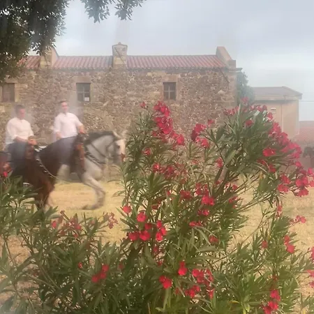 Il Castello 3* Seneghe