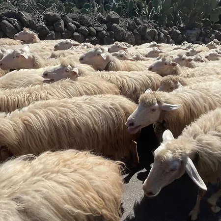 Il Castello לינה וארוחת בוקר *