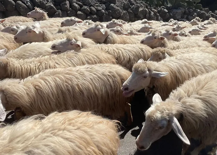 Il Castello Bed and breakfast 3*