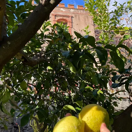 Il Castello *