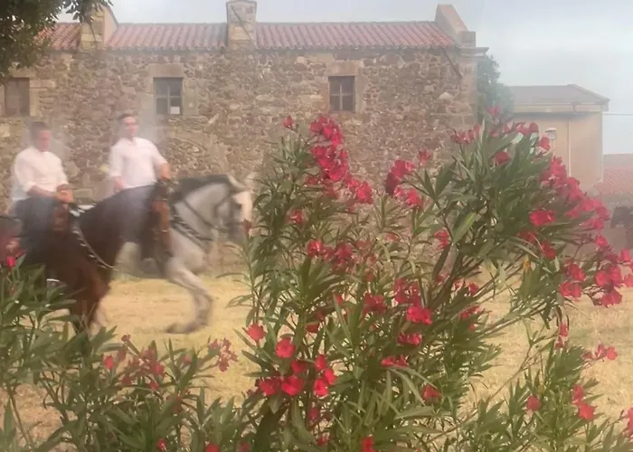 Il Castello 3* Seneghe